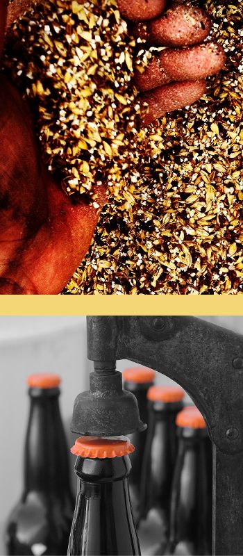 Home Beer Brewing Oak Beach Queensland Brewing Basics